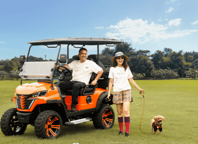 How Golf Carts&hellip;